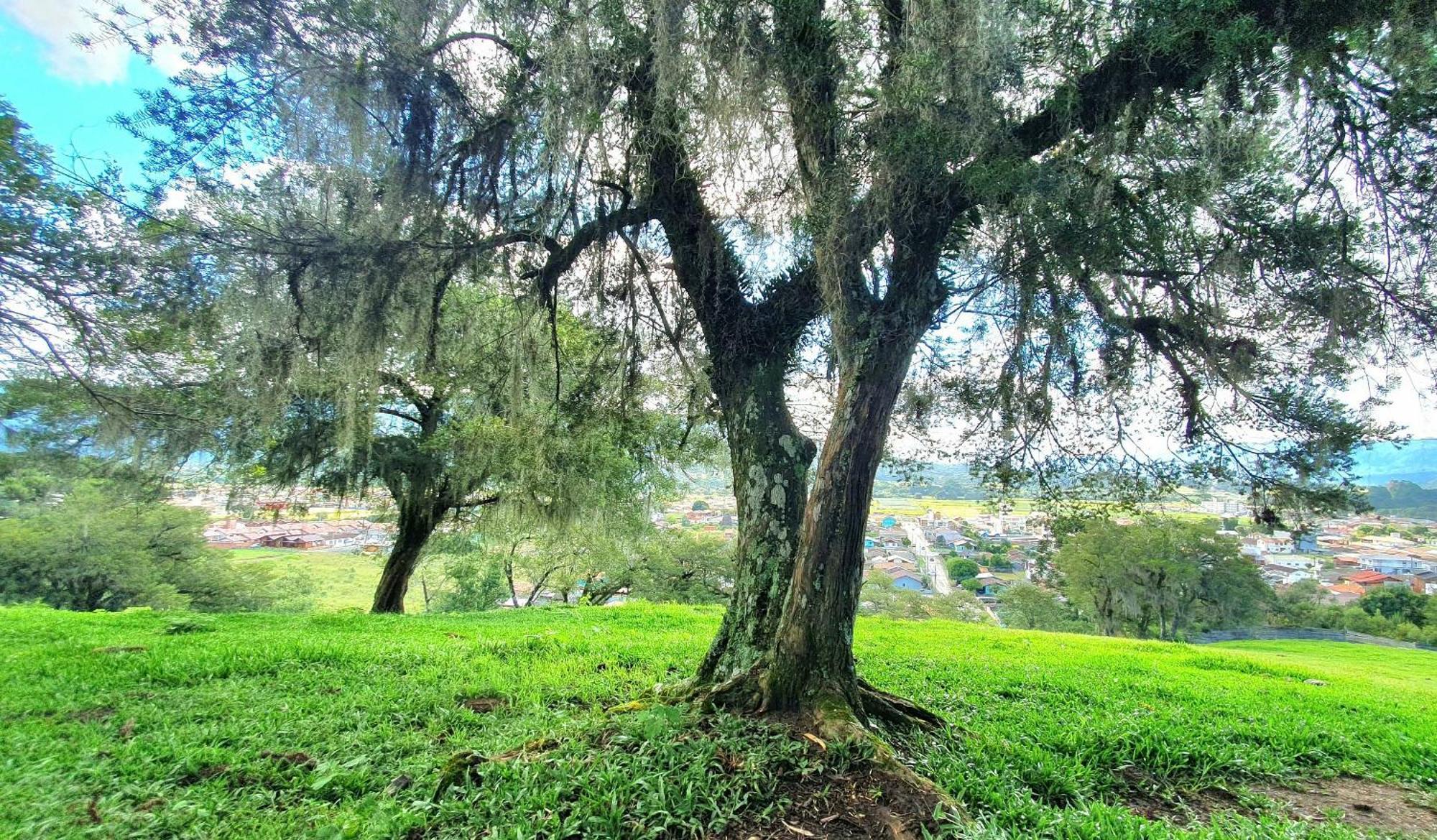 Cabana Canto Lindo - Urubici-Sc ภายนอก รูปภาพ